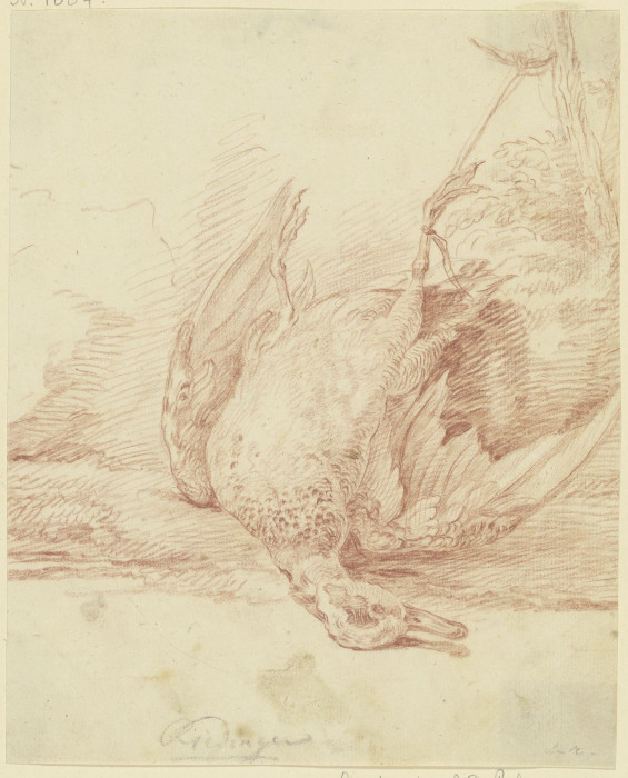 Zur Strecke gebrachte Ente, den Kopf nach rechts von Johann Elias Ridinger
