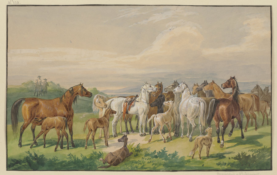 Ein gesatteltes Militärpferd kehrt zu seiner wilden Herde zurück von Johann Erdmann Gottlieb Prestel