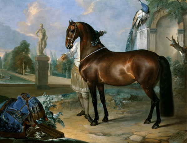 The bay horse' Sincero' von Johann Georg Hamilton