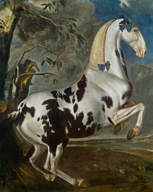 The Piebald Stallion at the Eisgruber Stud von Johann Georg Hamilton
