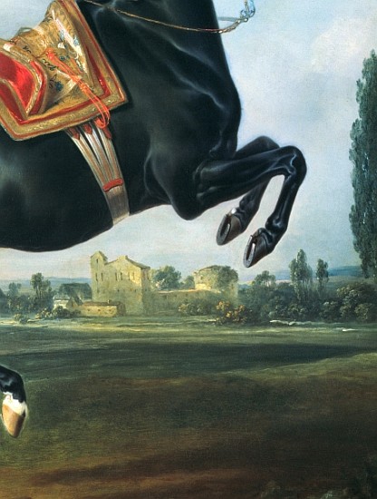 A black horse performing the Courbette (detail of 65652) von Johann Georg Hamilton