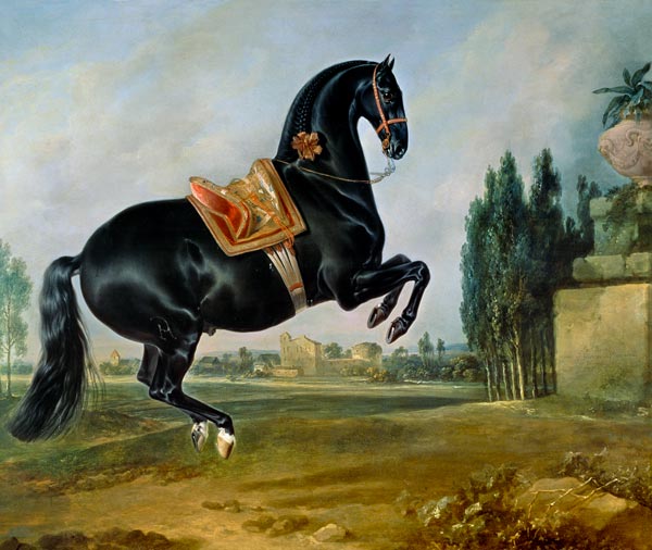 A black horse performing the Courbette, or Croupade von Johann Georg Hamilton