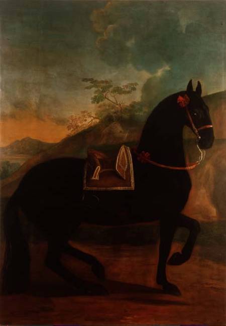 A Black Horse sporting a Spanish Saddle von Johann Georg Hamilton