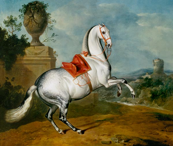 The Dapple Grey Galloping von Johann Georg Hamilton