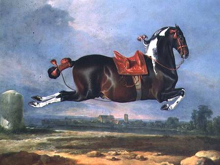 The piebald horse 'Cehero' rearing von Johann Georg Hamilton