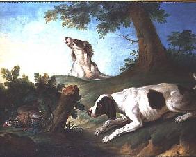 Spaniels putting up a partridge 1772