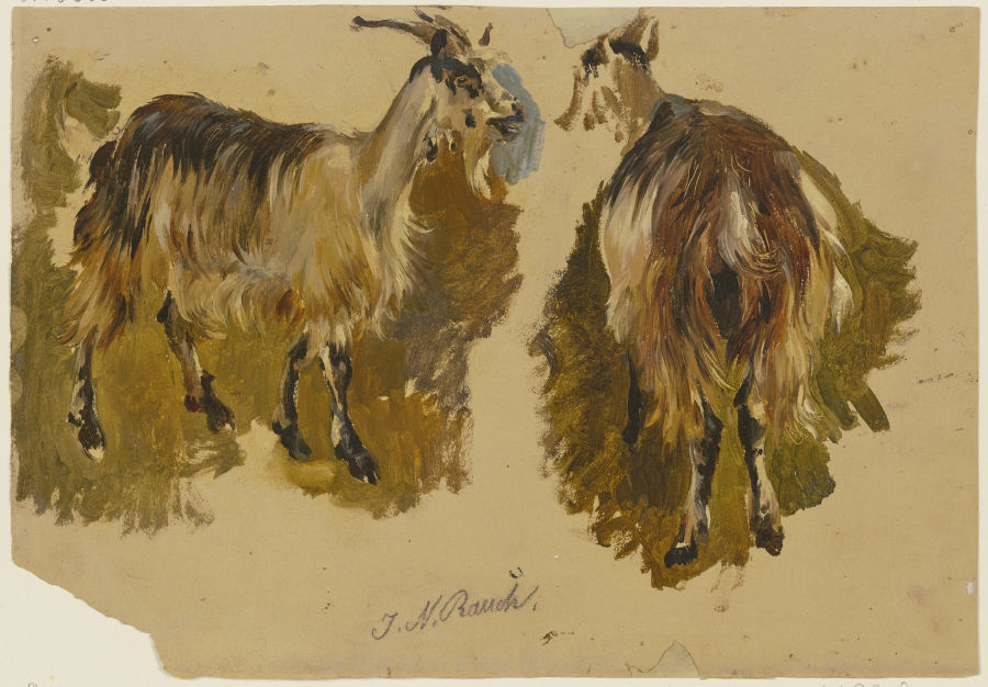 Zwei Ziegen von Johann Nepomuk Rauch