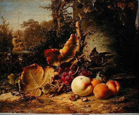 Fruit and Sparrows von Johann Wilhelm Preyer