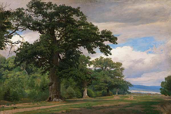 Großer Baum auf Waldschneise (Studie) von Johann Wilhelm Schirmer