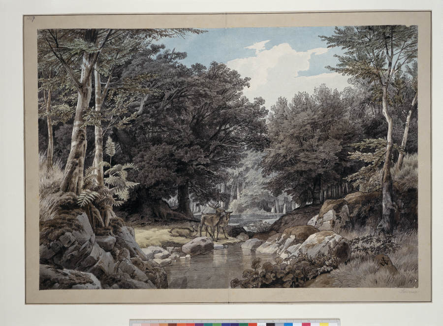 Waldinneres mit Hirschen am Wasser von Johann Wilhelm Schirmer