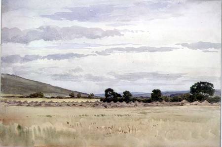 Landscape with cornfield von John Absolon