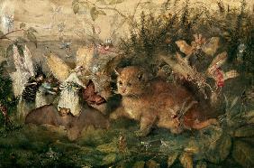 Cat amongst fairies