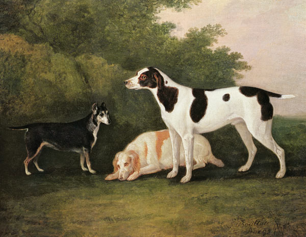 Three Dogs in a Landscape von John Boultbee