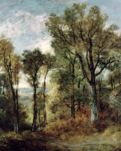 Woodland View in Suffolk von John Constable