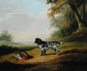 Landscape with a Dog