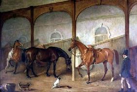 Stable Interior