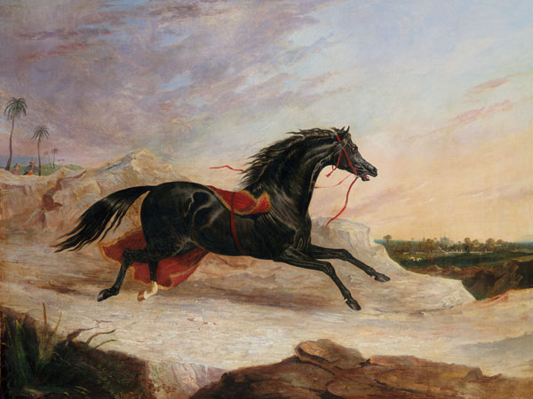 Arabs Chasing A Loose Arab Horse In An Eastern Landscape von John Frederick Herring d.Ä.
