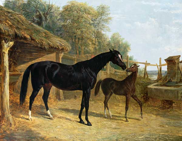 Levity, the property of J.C.Cockerill Esq., with her foal Queen Elizabeth, the property of Lord Dorc von John Frederick Herring d.Ä.