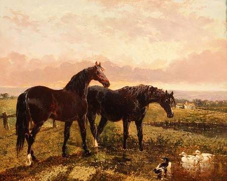 Two horses grazing at sunset von John Frederick Herring d.Ä.