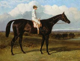 'Jonathan Wild' a Dark Bay Race Horse, at Goodwood, T.Ryder up 1846