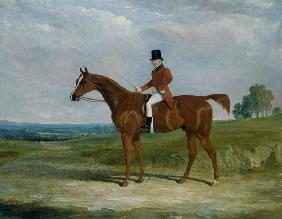 Sir Hugh Hamilton Mortimer, Master of the Old Surrey Foxhounds, on a chestnut hunter in an extensive