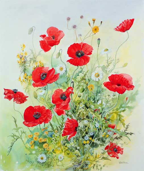 Poppies and Mayweed  von John  Gubbins