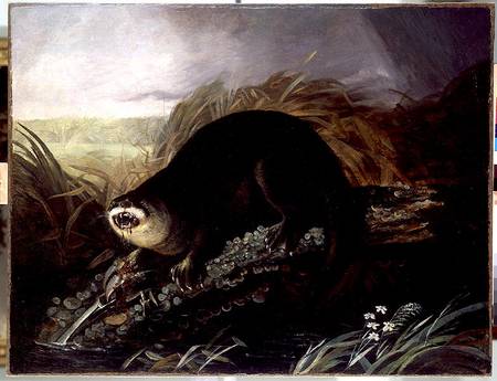 Otter Caught in a Trap von John James Audubon