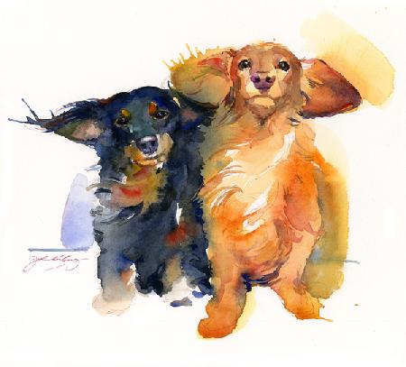 Dacshund Duo 2014