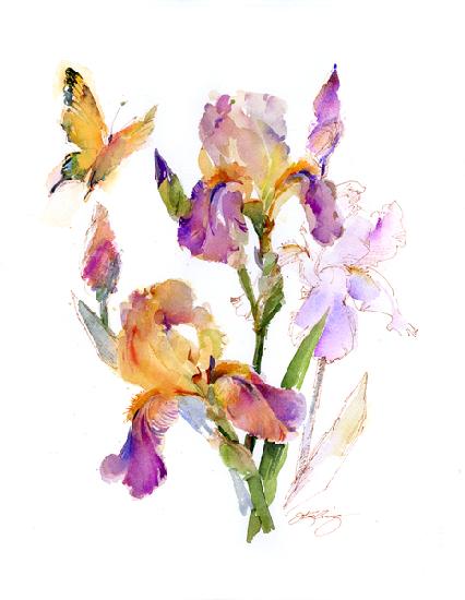 Iris with yellow butterfly 2016