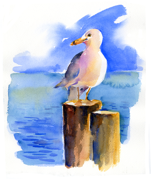 Seagull on dock von John Keeling