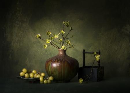 Hartriegelblume und grüne Stimmung