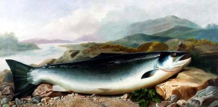 Still Life of a Salmon on a Riverbank in a Mountainous Landscape von John Russell
