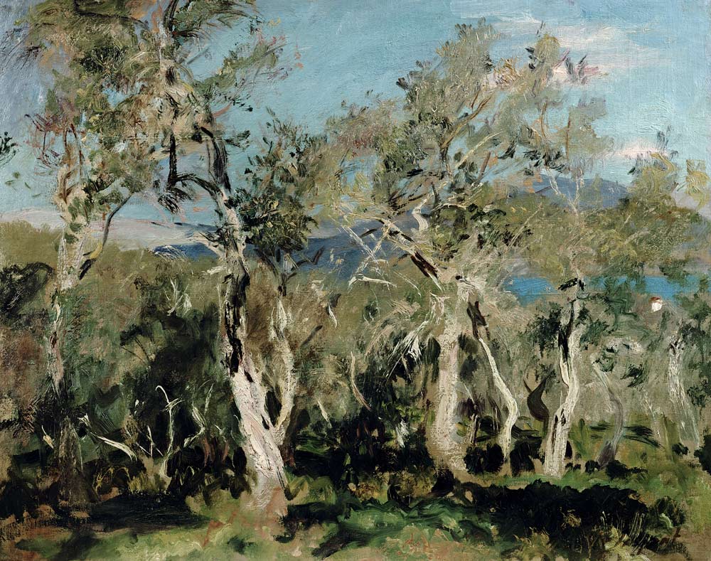 Olives, Corfu von John Singer Sargent