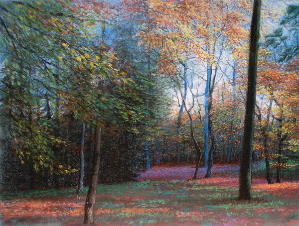 Autumn in the Woods von Margo Starkey