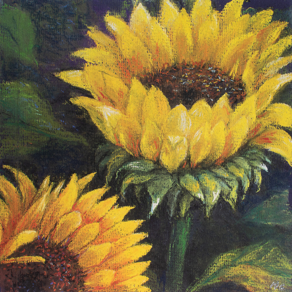 Sunflowers von Margo Starkey
