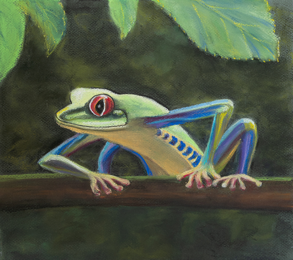 Tree frog von Margo Starkey