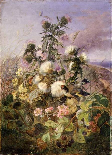A Goldfinch and a Butterfly amongst Thistles and Blackberry Blossom von John Wainwright