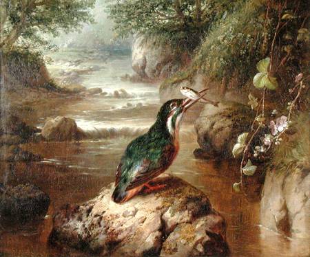 The Haunt of the Kingfisher von John Wainwright