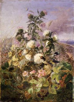 A Goldfinch and a Butterfly amongst Thistles and Blackberry Blossom 1863