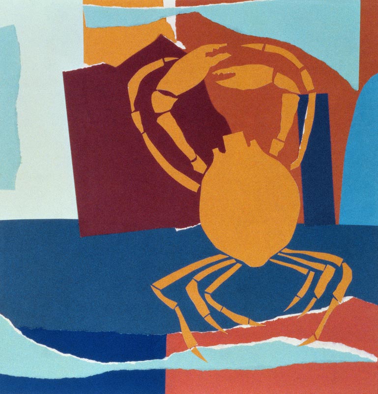 Spider Crab  von John  Wallington