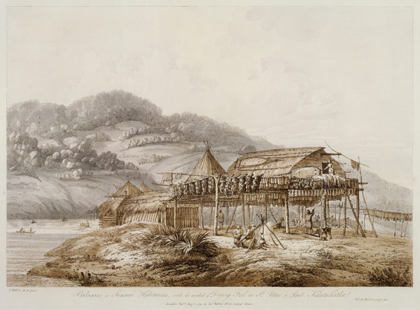 Balagans or Summer Habitations, with the Method of Drying Fish at St. Peter and Paul, Kamtschatka, f von John Webber