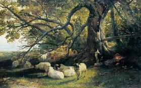 Resting Flock 1863