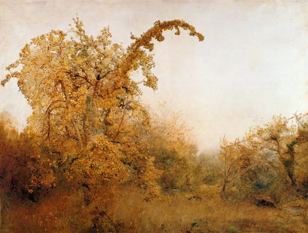 The Old Pear Tree von John William North