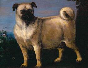 A Pug in a Landscape (oil on canvas) 17th