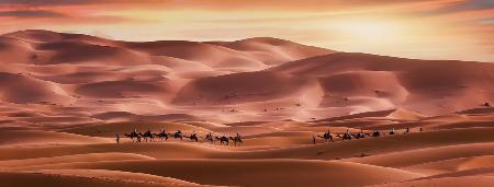 Spazieren Sie durch die Wüste