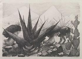 Indianer und Magney Pflanzen, 1928 (Litho in schwarzer Tinte) 1928