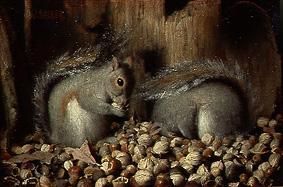 Eichhörnchen mit ihrem Wintervorrat. von Joseph Decker