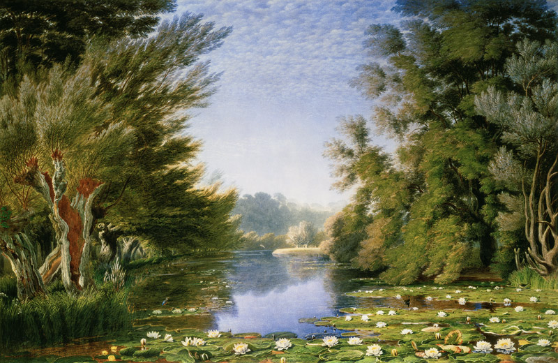 Water Lillies on the Cherwell von William Turner