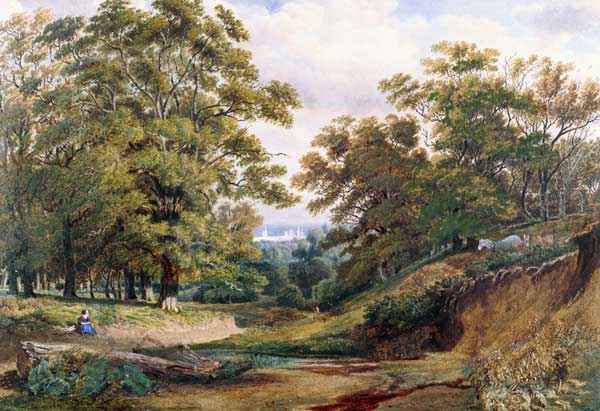 A Scene in Bagley Wood near Oxford (w/c and bodycolour) von William Turner