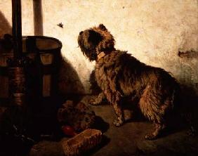 The Dog and the Fly 1856